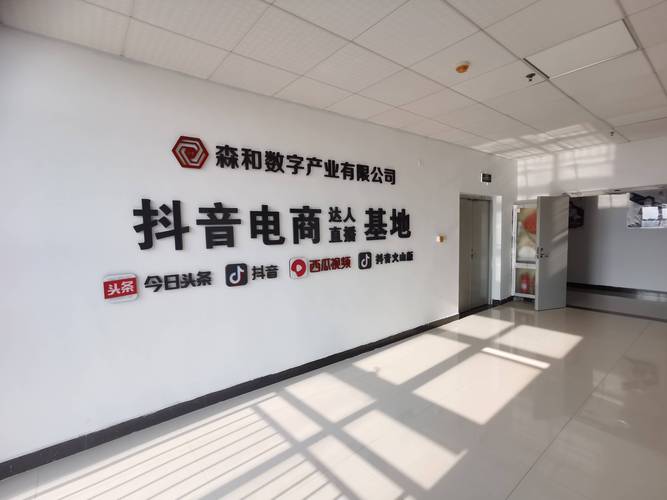 抖音点赞业务24小时不打烊,助力创作者流量攀升新高峰