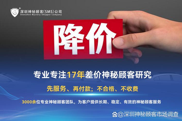 自助下单平台低价策略,行业变革下的效率与成本双赢之道