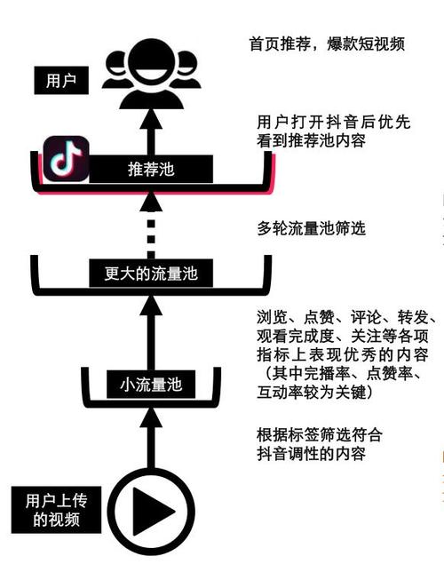 抖音运营新策略,揭秘快速提升视频点赞量的高效路径