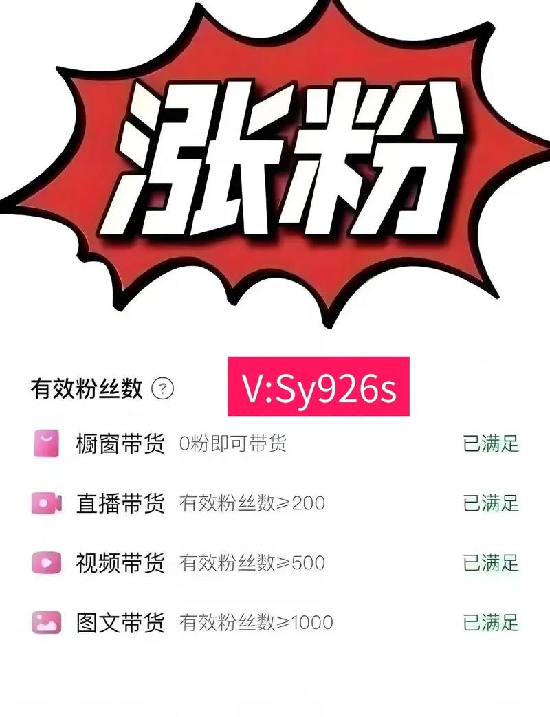 抖音涨粉秘籍大公开,高效策略助你快速突破1000粉大关