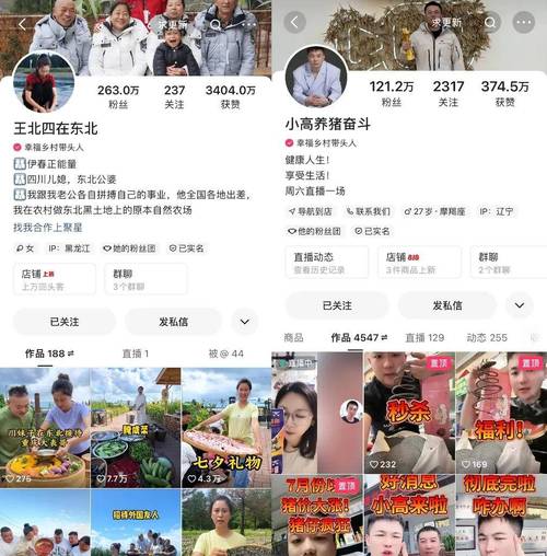 快手生态下一元千粉服务产业链解析，流量造假背后的平台治理与行业规范挑战