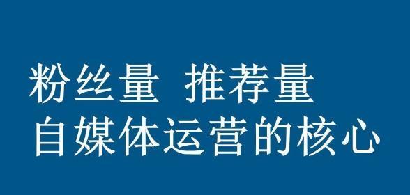 快手机器人点赞评论,技术驱动下的社交互动新生态与行业影响分析