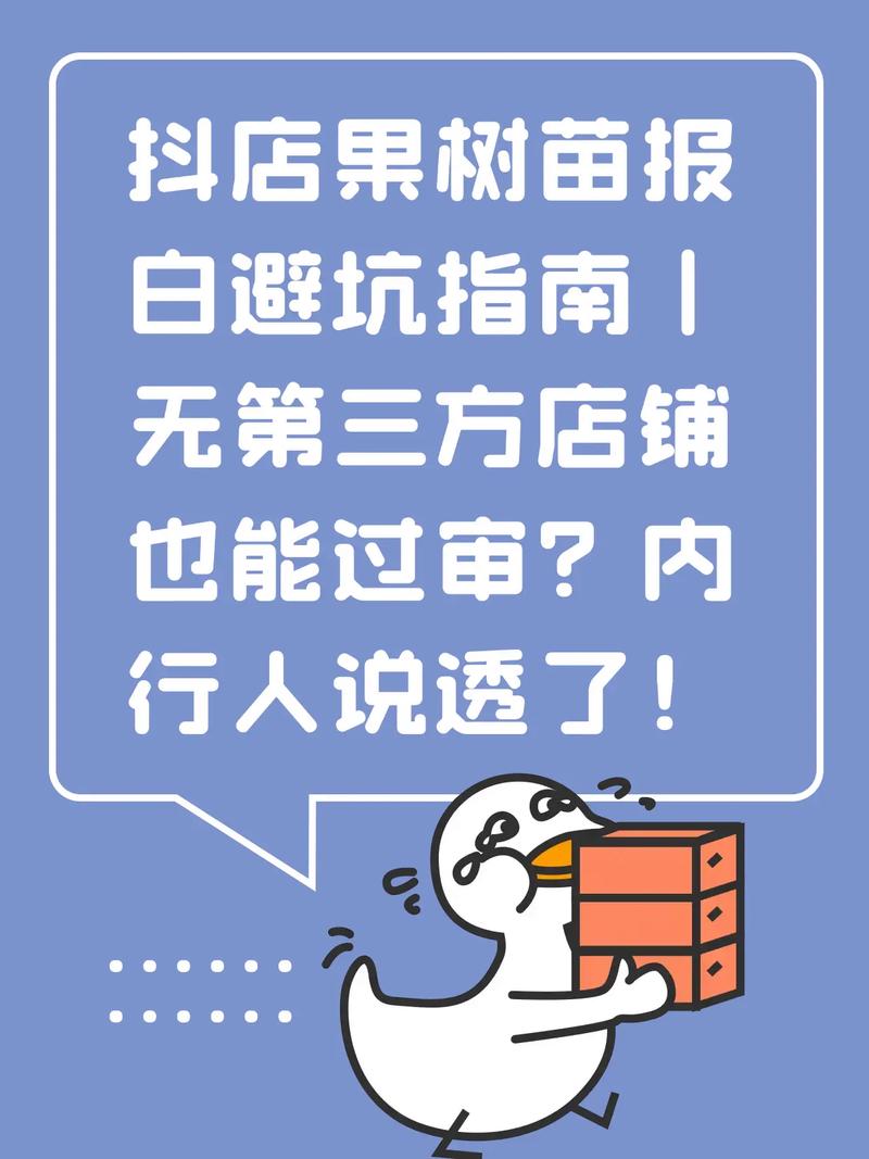 抖音粉丝业务下单那些事儿,真实体验与避坑指南