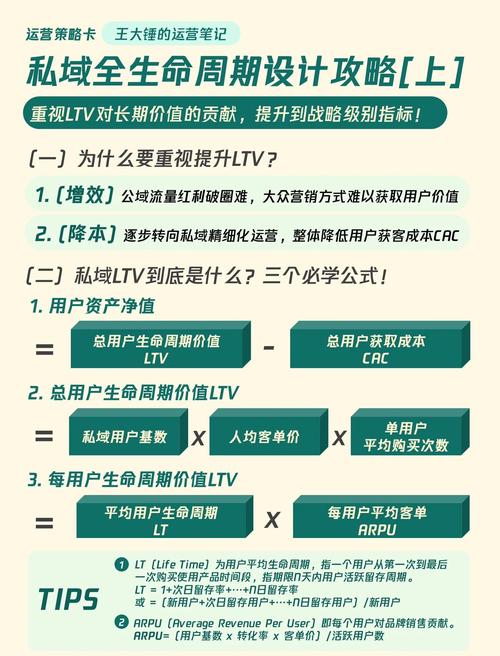 生态下用户互动提升策略研究—基于点赞量增长的深度分析