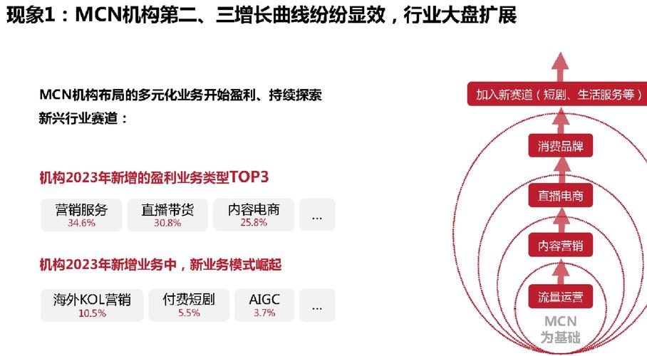 双击抖音点赞业务兴起,解析市场新趋势与行业规范发展