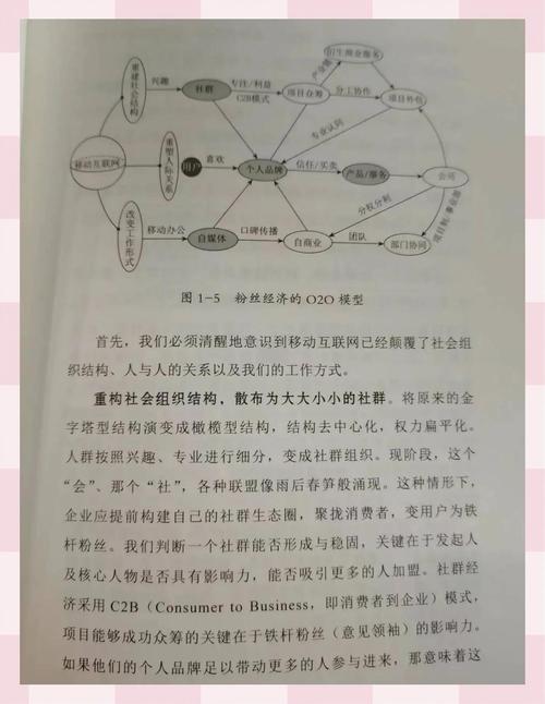 社交媒体粉丝经济生态解析，快手粉丝购买行为的市场逻辑与合规风险