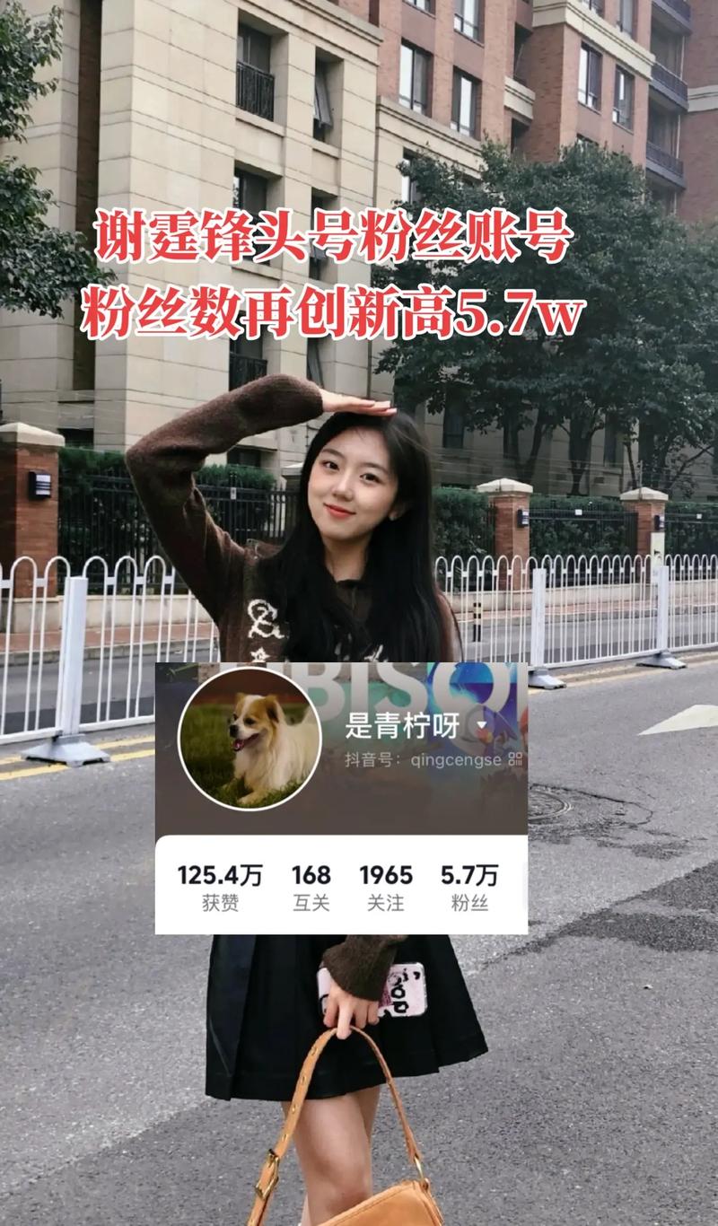 抖音粉丝业务新突破,20个精准服务助力账号快速成长