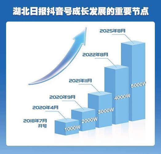 抖音粉丝业务新突破,20个精准服务助力账号快速成长