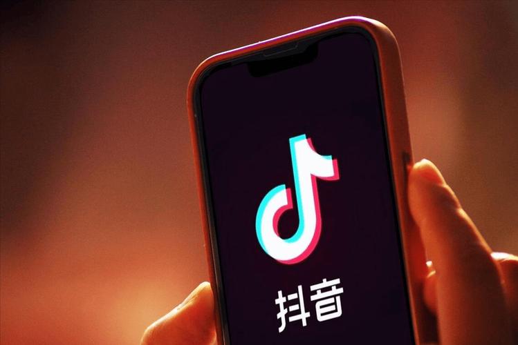 24小时高效服务！专业平台开启抖音流量加速新纪元