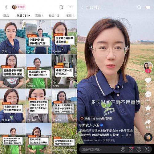 快手生态下的24小时自助下单平台，技术赋能与行业合规性深度解析