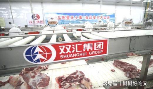 24小时快手自助下单平台，低价策略下的行业变革与市场机遇